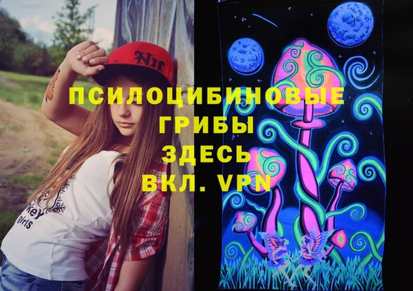 бошки Аркадак