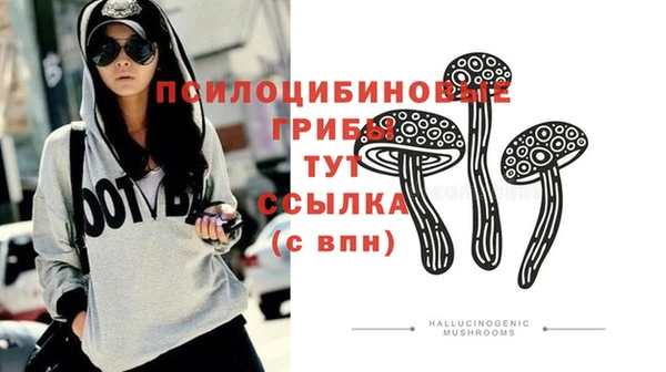 синтетический гашиш Алексин