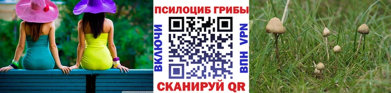 Псилоцибиновые грибы мухоморы Ермолино