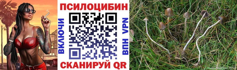 Галлюциногенные грибы Psilocybine cubensis  купить наркотики цена  маркетплейс состав  Ермолино 